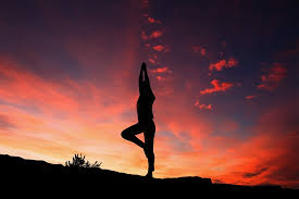 Yoga Pose Yoga Pose